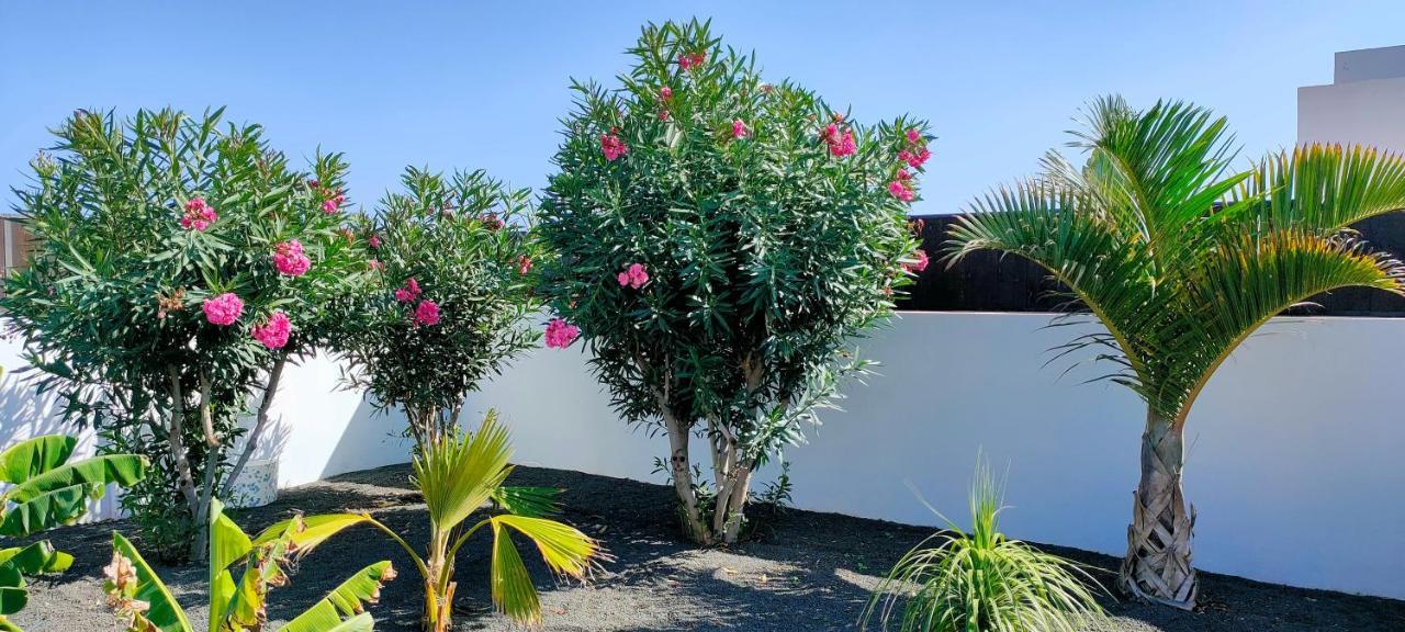 Villa Fedelian 2 Playa Blanca المظهر الخارجي الصورة